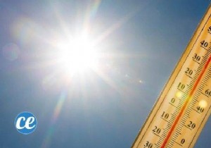 8 Simple and Effective Tips to Survive the Heatwave. 