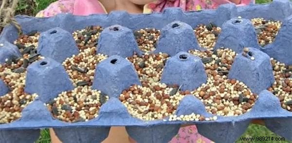 Don t Throw Away Your Egg Boxes! 26 Genius Ideas To Recycle Them. 