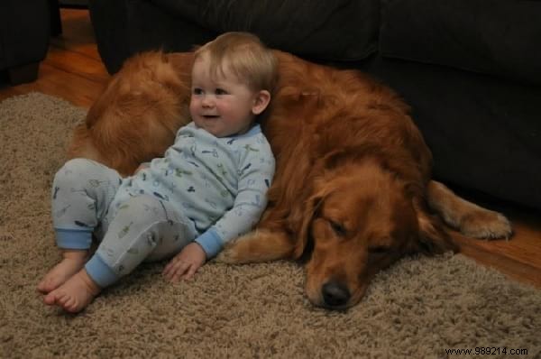34 Photos That Show Why All Kids Should Grow Up With A Dog (Or Cat). 