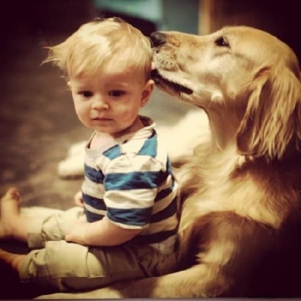 34 Photos That Show Why All Kids Should Grow Up With A Dog (Or Cat). 