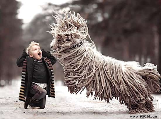 This HUGE Dog Playing With A Child Should Amaze You :-) 