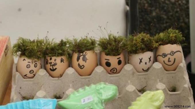 A Mini Vegetable Garden in Eggshells for Children. 