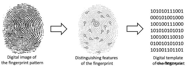 How do fingerprint scanners work? 