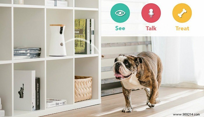 5 of the Best High-Tech Pet Products for Your Dog 