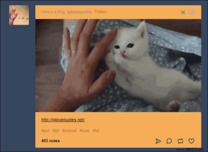 6 Cool Tumblr Labs Features You Need to Try Today 