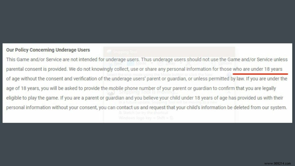 Why is PUBG New State age verification system not effective, is it still safe for users under 18? 