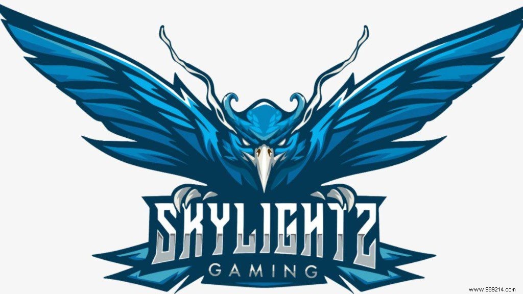 Skylightz Gaming Acquires Former DRS Gaming As PUBG Mobile Nepal Roster 