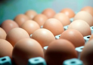 Will Free-Range Egg Shelves Be Empty This Easter Due to Bird Flu?