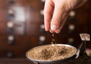 The difference between cumin and caraway 