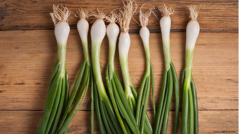 What is the difference between a spring onion and a spring onion? 