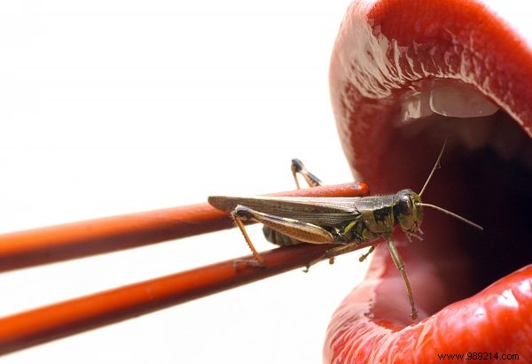 It s true:eating insects is becoming more and more popular 