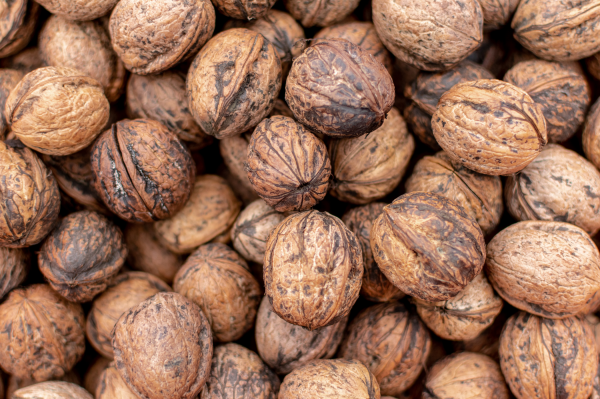 7 reasons why you should eat walnuts more often 