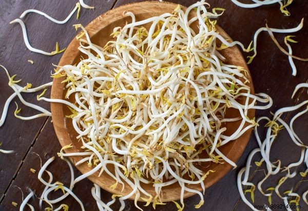 This is how you grow bean sprouts 