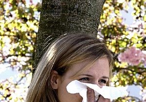 Hay Fever Season Delayed: Experts Predict June Start After Cold Winter
