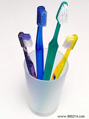 Toothbrush Bacteria 