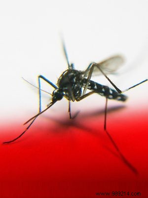 Long-term protection against malaria 
