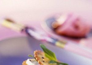 Vegetarian Twitter consultation hours 