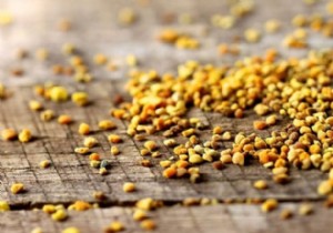 BeBio:superfood bee pollen 
