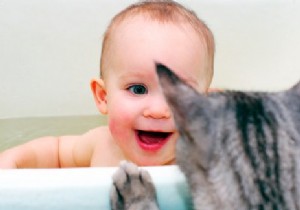 Can a Too-Clean Home Increase Your Child s Allergy Risk?