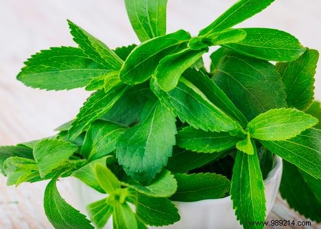 6 Things You Didn t Know About Stevia 