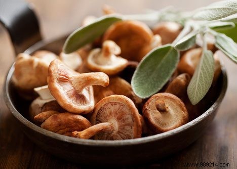 Shiitake is good for the immune system 