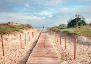 Beach Walks Unlock 47 Extra Minutes of Sleep: Backed by Research