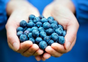 How Antioxidants Protect Your Body from Free Radicals