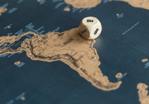 RIVM Travel Alert: Stay Vigilant Against Zika Virus Risks