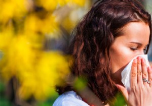 Catch a cold? Maybe you suffer from hay fever 