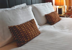 What you need to know about bed bugs 