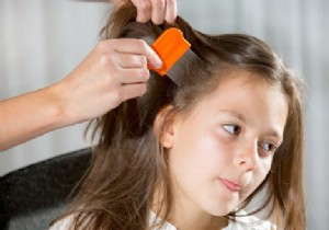 What can you do to prevent lice? 