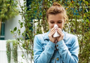 Hay Fever Warning: High Mugwort Pollen Levels Set to Challenge Allergy Sufferers This Week
