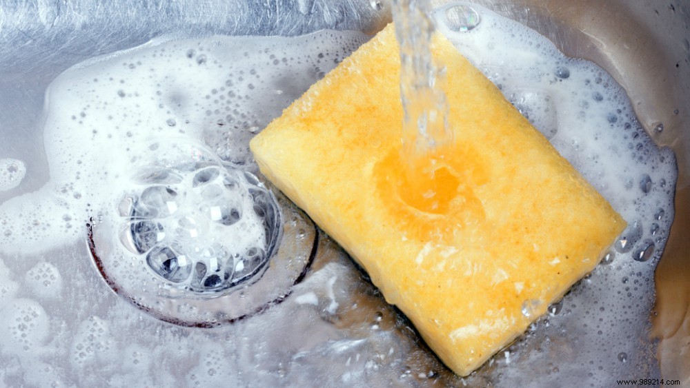 Bah:kitchen sponge contains more bacteria than toilet seat 