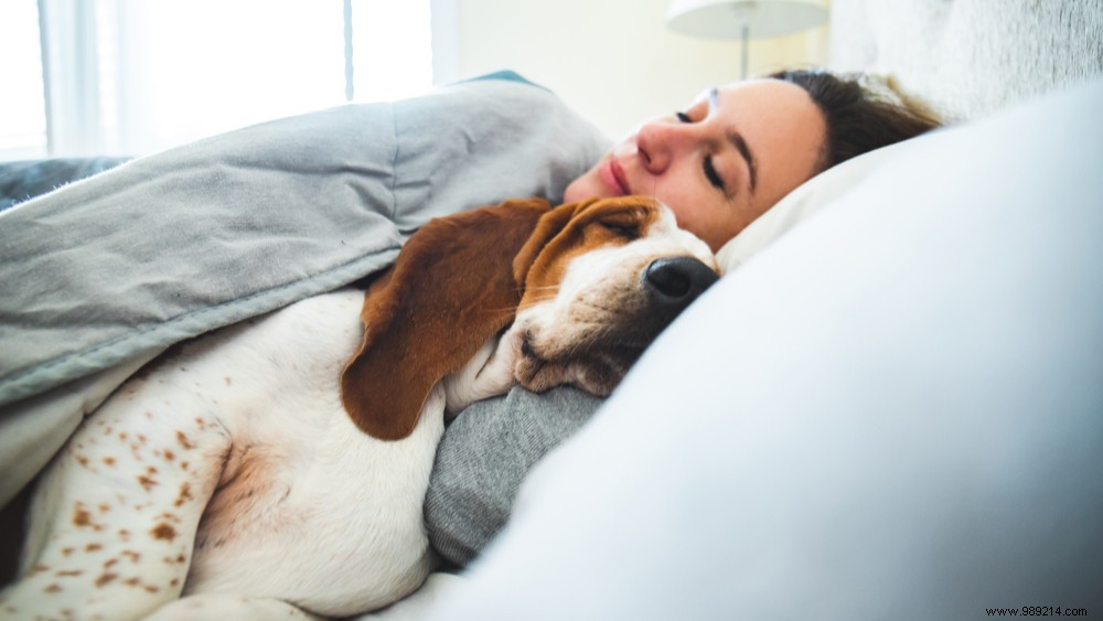 Do you sleep in bed with your pet? 
