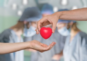 Who are the most frequent organ donors? 