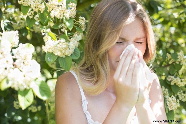 12 tips against hay fever 