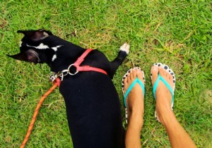 Q&A:how bad is it really to walk in flip-flops a lot? 