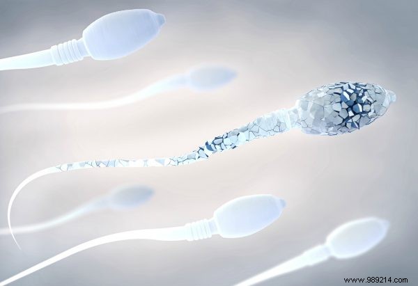 Oh dear:corona is not good for sperm 