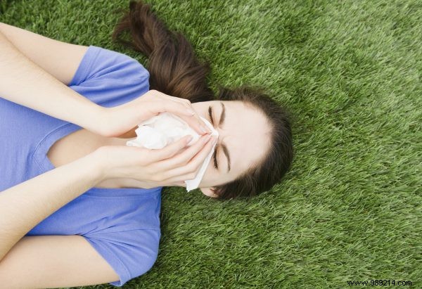Hay fever file:all the ins &outs 