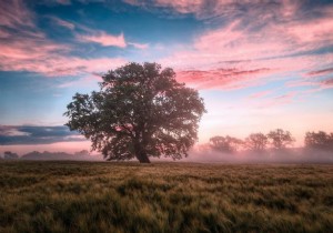 5 Proven Health Benefits of Spending More Time Outdoors