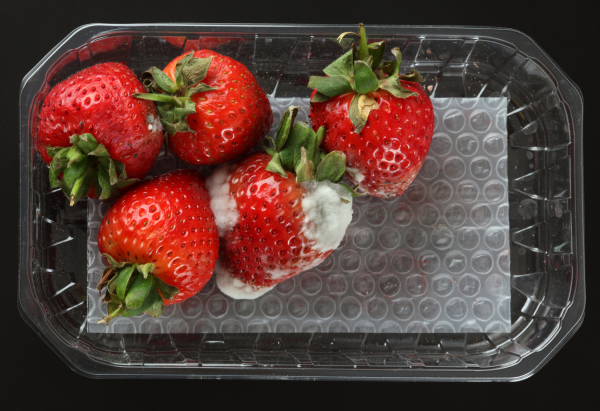 No more moldy fruit:it s possible with this scanner 