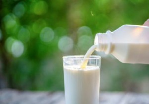 Is Milk the Best Source of Calcium? An Orthomolecular Expert s Insights on Dairy and Bone Health
