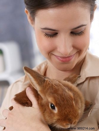 Towards a cruelty-free cosmetic industry 