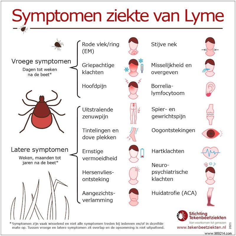 Symptoms to watch out for after a tick bite 