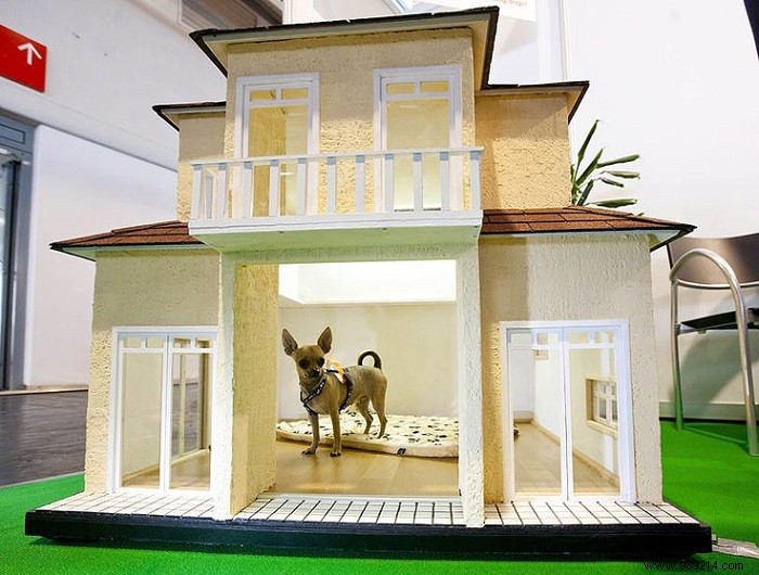 11 beautiful dog houses 
