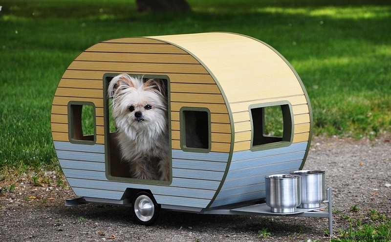 10 x cute campers for dogs 