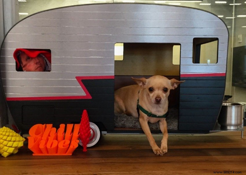 10 x cute campers for dogs 