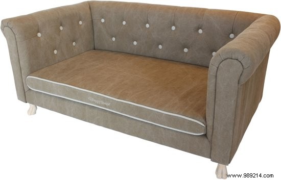 8 x the nicest dog beds 
