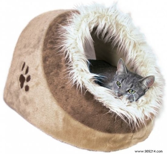 7 x the nicest cat baskets 