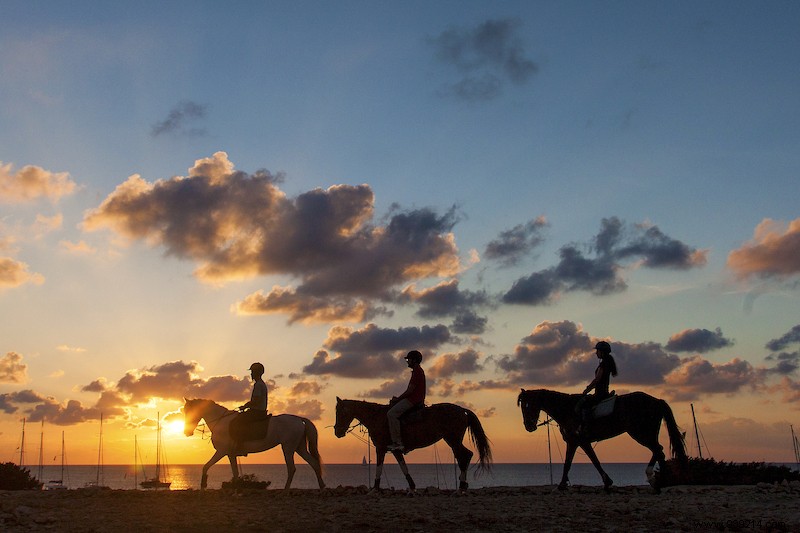 Explore Formentera on foot, by bike or on horseback 